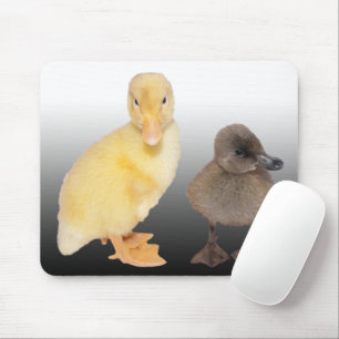 Adorable Ducklings Photograph Mouse Mat