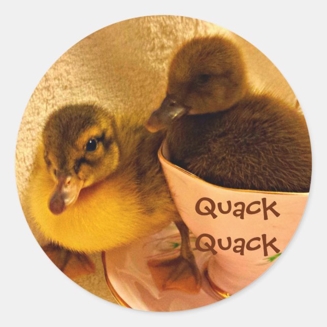 Adorable Ducks Say Quack Classic Round Sticker (Front)