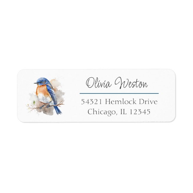 Adorable Eastern Bluebird Rustic Watercolor (Front)