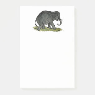 Adorable Elephant Cartoon, Cute Funny Zoo Friend Post-it Notes