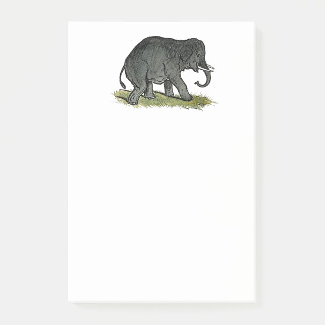 Adorable Elephant Cartoon, Cute Funny Zoo Friend Post-it Notes (Front)