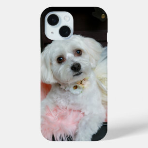 Adorable Fancy White Puppy Portrait Photo iPhone 15 Case