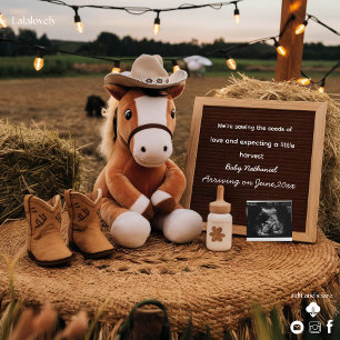 Adorable farm themed  pregnancy announcement