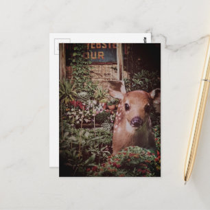 Adorable Fawn in the Garden Collage Postcard