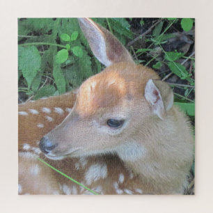 Adorable Fawn Jigsaw Puzzle