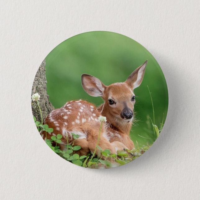 Adorable Fawn laying under a tree 6 Cm Round Badge (Front)