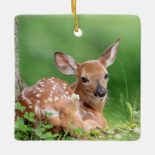 Adorable Fawn laying under a tree Ceramic Ornament