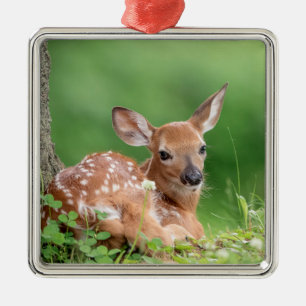 Adorable Fawn laying under a tree Metal Tree Decoration