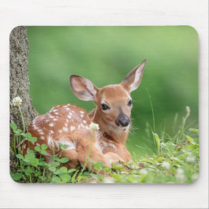 Adorable Fawn laying under a tree Mouse Mat