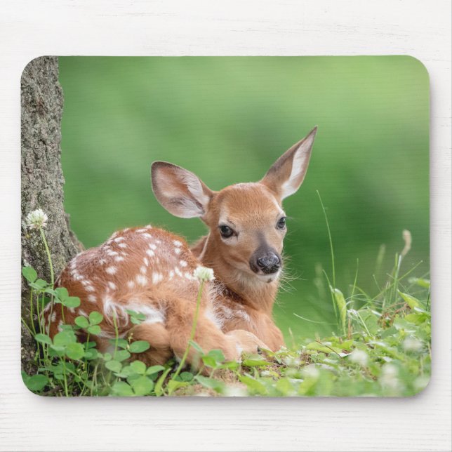 Adorable Fawn laying under a tree Mouse Mat (Front)