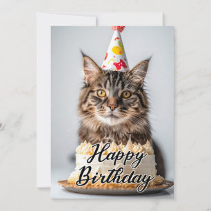 Adorable Fluffy Cat - Cat Lover Birthday Cards