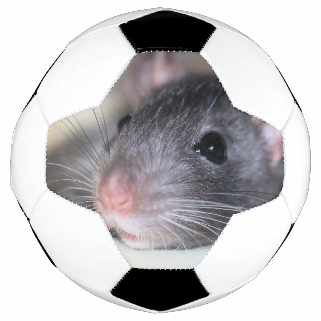 Adorable Football (Front)