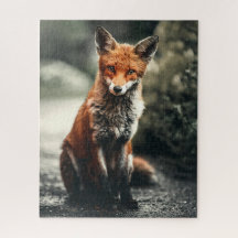 Adorable Fox Wildlife Forest Animal