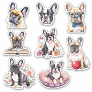 Adorable French Bulldog Collection 