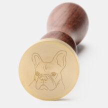 Adorable French Bulldog Face