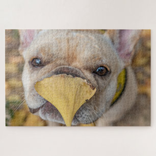 Adorable French Bulldog Jigsaw Puzzle