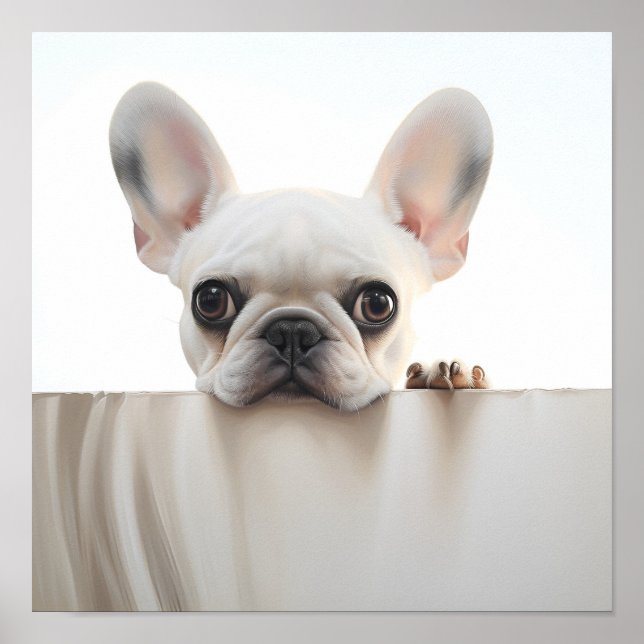 adorable french bulldog photography print (Front)