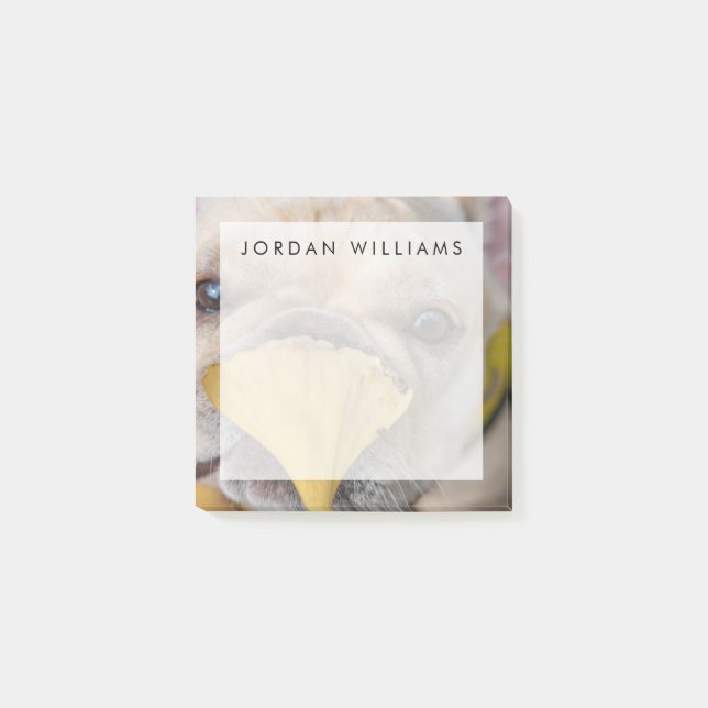 Adorable French Bulldog Post-it Notes (Front)