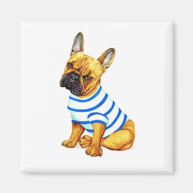 Adorable French Bulldog Puppy in a Shirt  Magnet (Front)