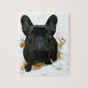 Adorable French Bulldog Puppy! Jigsaw Puzzle