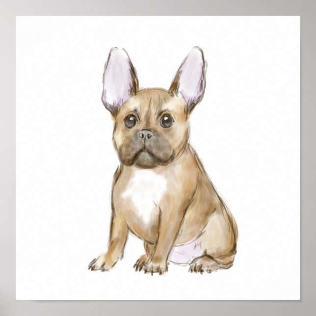 Adorable french bulldog puppy poster (Front)