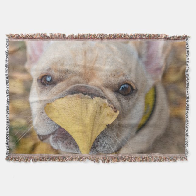 Adorable French Bulldog Throw Blanket (Front)