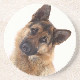 Adorable funny german shepherd portrait coaster