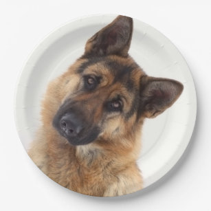 Adorable funny german shepherd portrait paper plate