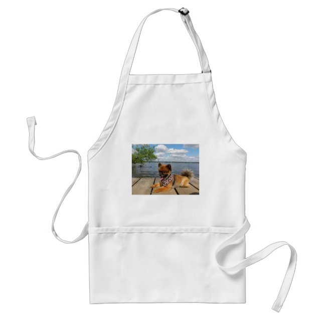 Adorable, furry dwarf spitz dog standard apron (Front)