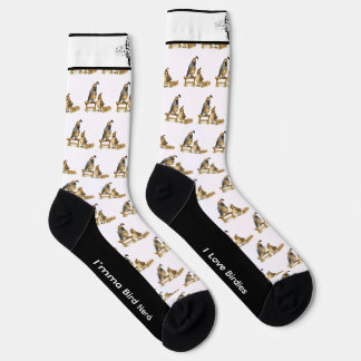 Adorable Gambel's Quail Bird Socks
