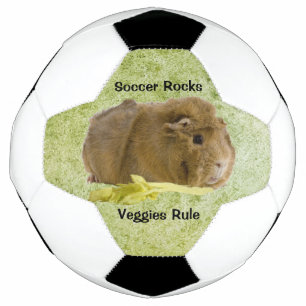 Adorable Ginger Guinea Pig Eating Celery Photo Football