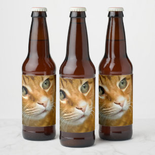 Adorable Ginger Tabby Cat Posing Pet Portrait Beer Bottle Label