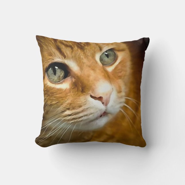 Adorable Ginger Tabby Cat Posing Pet Portrait Cushion (Front)