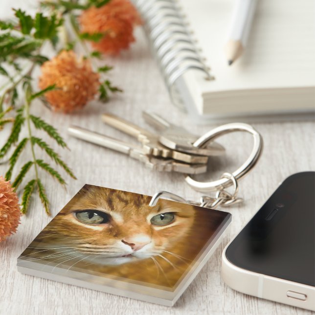 Adorable Ginger Tabby Cat Posing Pet Portrait Key Ring (Front Right)