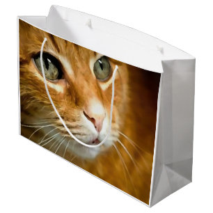Adorable Ginger Tabby Cat Posing Pet Portrait Large Gift Bag