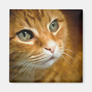Adorable Ginger Tabby Cat Posing Pet Portrait Magnet