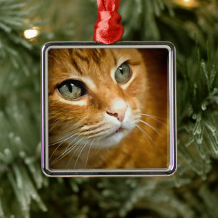 Adorable Ginger Tabby Cat Posing Pet Portrait Metal Tree Decoration