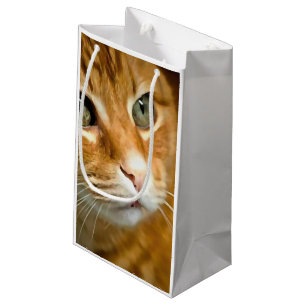 Adorable Ginger Tabby Cat Posing Pet Portrait Small Gift Bag