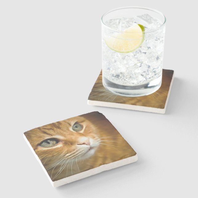 Adorable Ginger Tabby Cat Posing Pet Portrait Stone Coaster (Side)