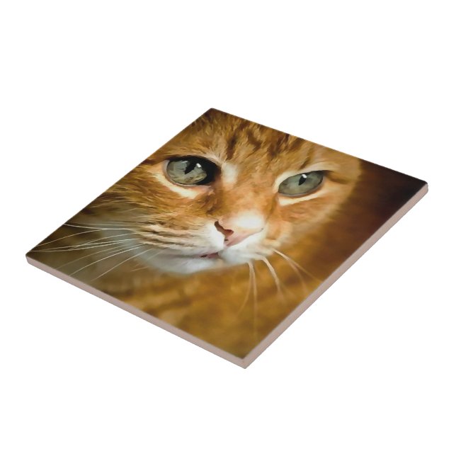 Adorable Ginger Tabby Cat Posing Pet Portrait Tile (Side)