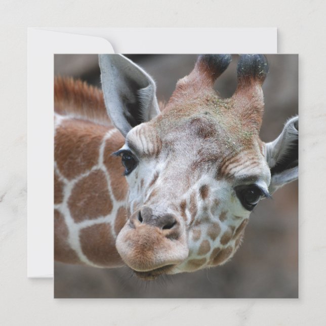 Adorable Giraffe Invitations (Front)