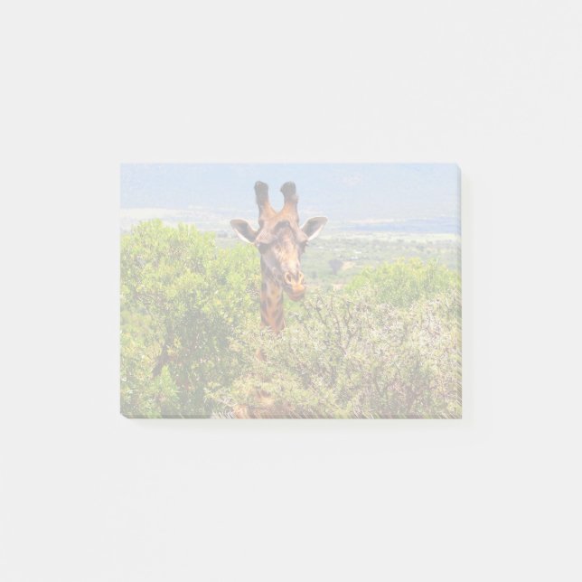 Adorable Giraffe Poking His Head Above The Trees Post-it Notes (Front)