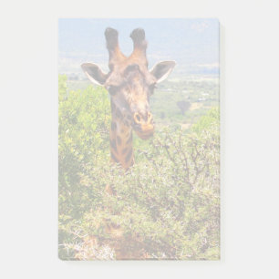 Adorable Giraffe Poking His Head Above The Trees Post-it Notes