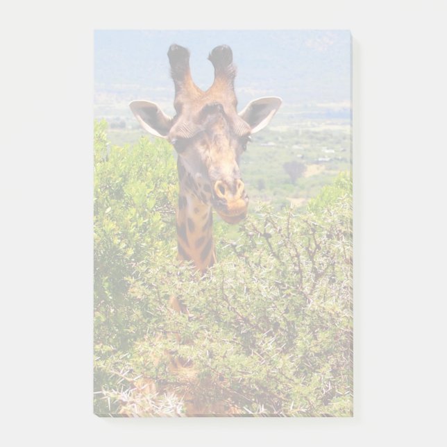Adorable Giraffe Poking His Head Above The Trees Post-it Notes (Front)