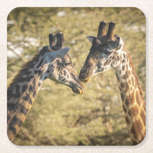 Adorable Giraffes Coaster