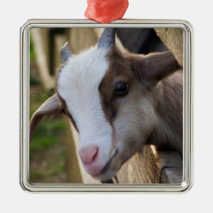 *ADORABLE GOAT FOR CHRISTMAS* METAL TREE DECORATION