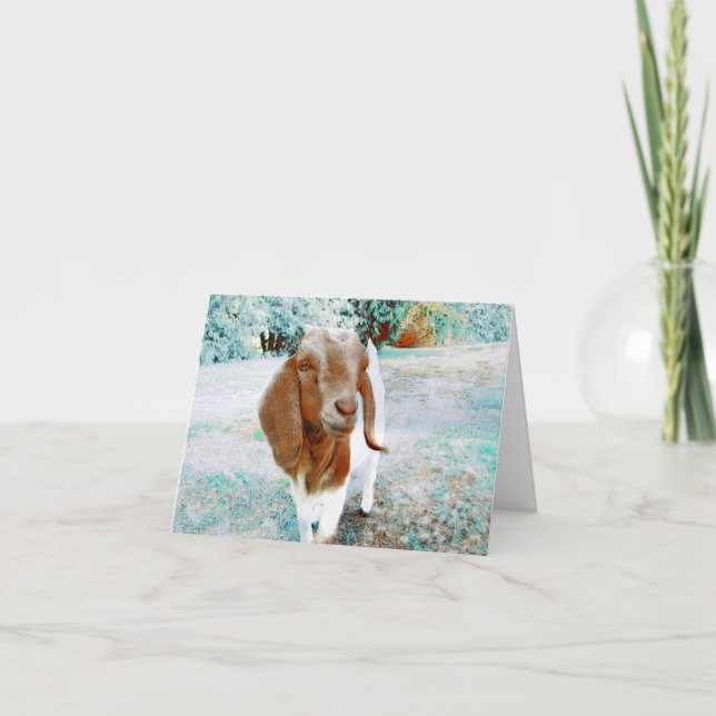 Adorable Goat to say Hello - Blank Card (Front)