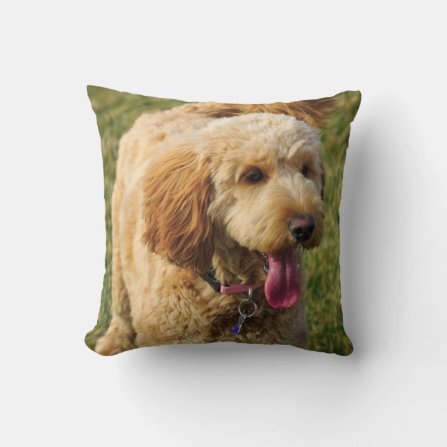 Adorable Golden Doodle Dog Cushion (Front)