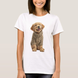 Adorable Golden Retriever Puppy in Knitted Sweater