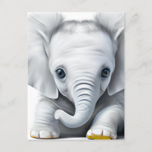 Adorable Grey Baby Elephant  Postcard